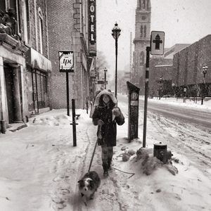 Meet your Posher, Angelica